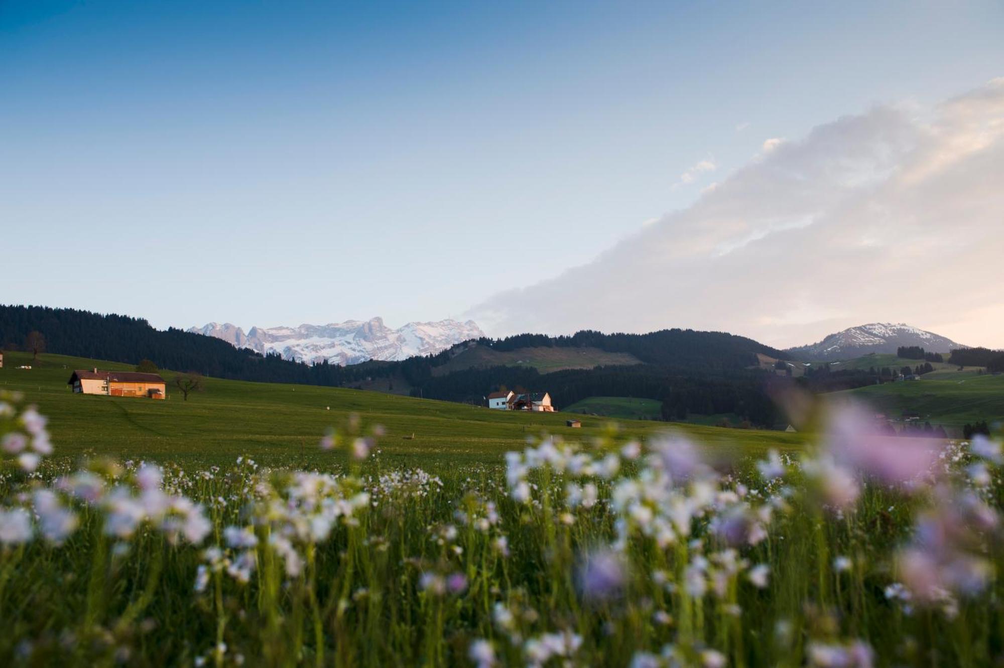 Hotel Landgasthof Eischen Appenzell Extérieur photo